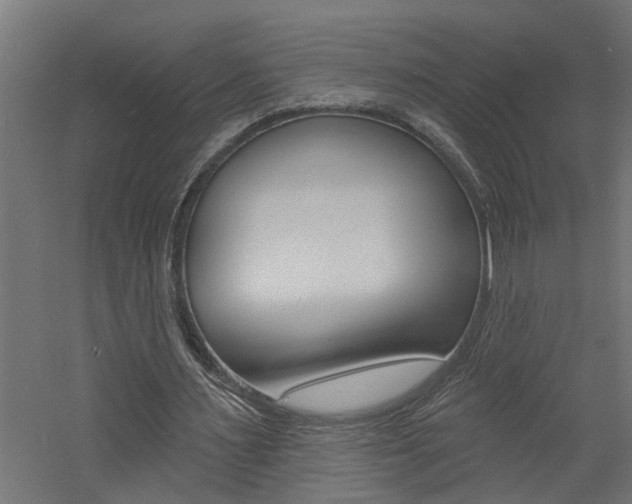 X0000060740483200511100916