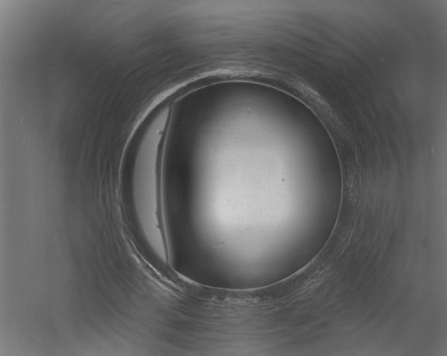 X0000060740484200511100916