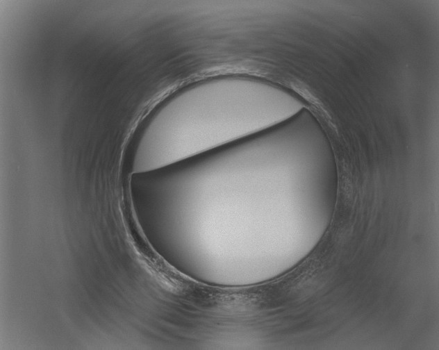 X0000060740486200511100915