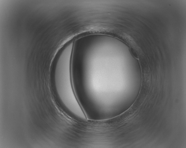 X0000060740488200511100915