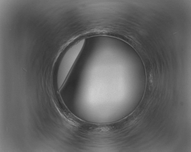 X0000060740492200511100915