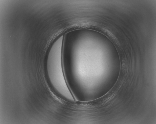 X0000060740493200511100915