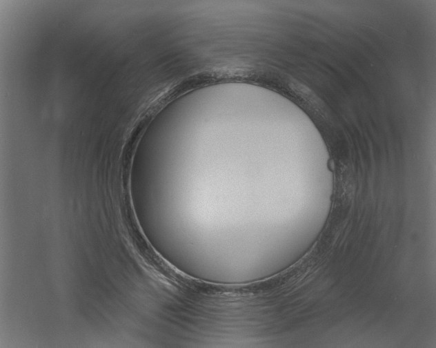 X0000060740494200511100915