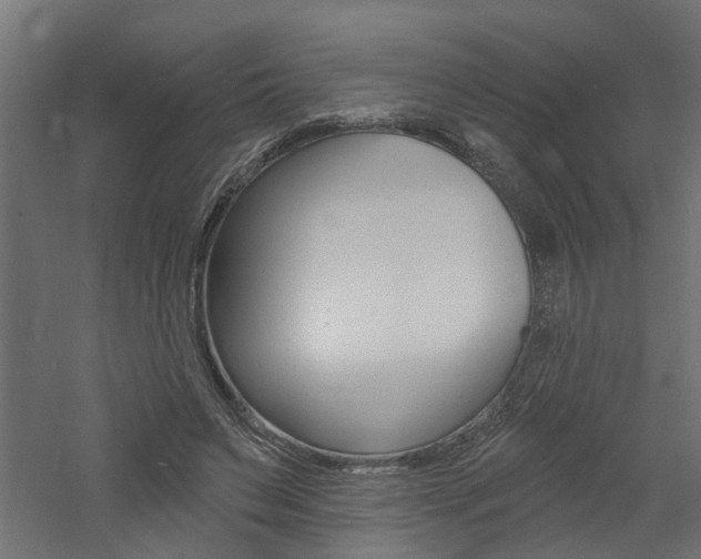 X0000060740495200511100915