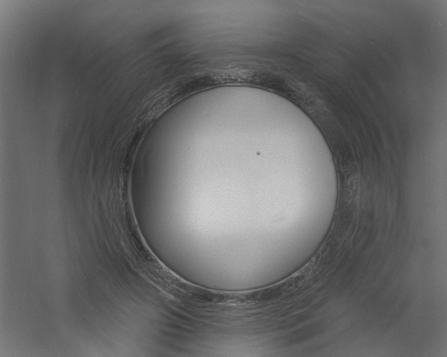 X0000060740498200511100915