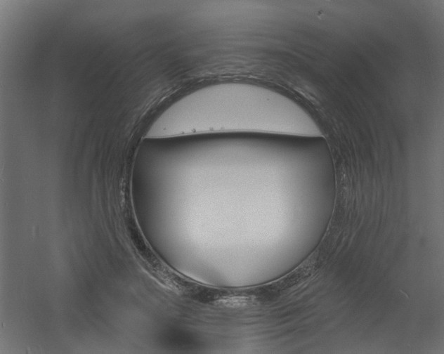 X0000060740499200511100915