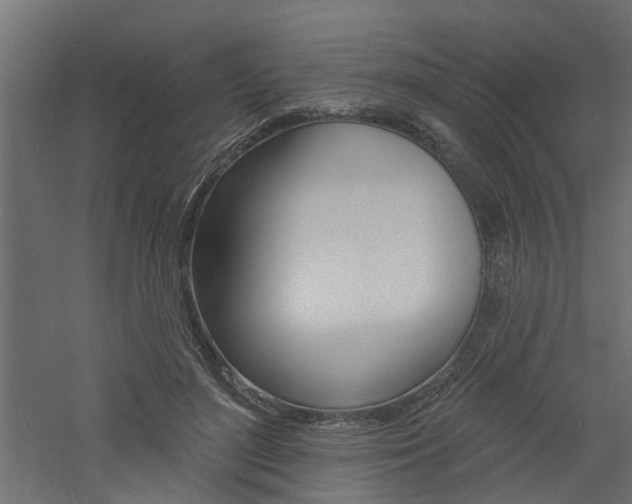 X0000060740500200511100915