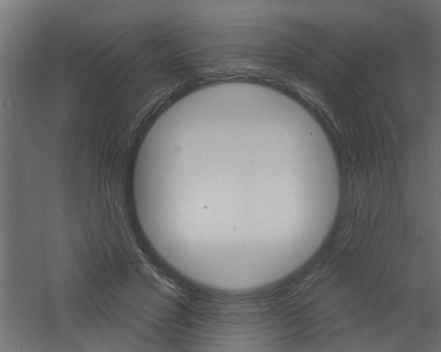 X0000060740501200511100915