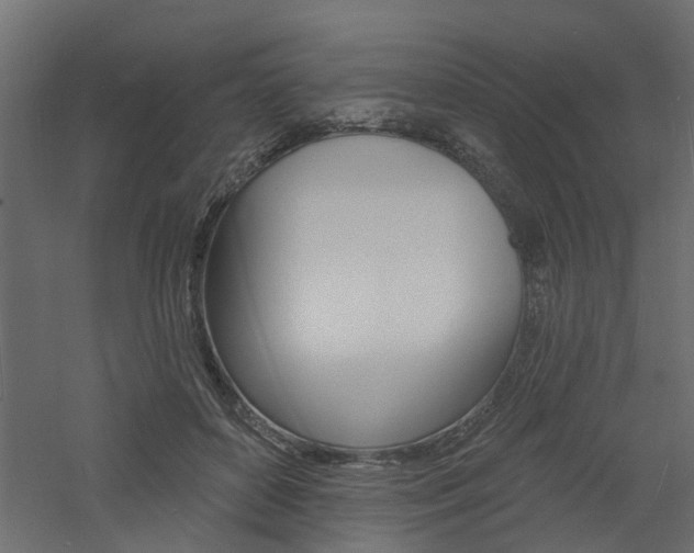 X0000060740504200511100915