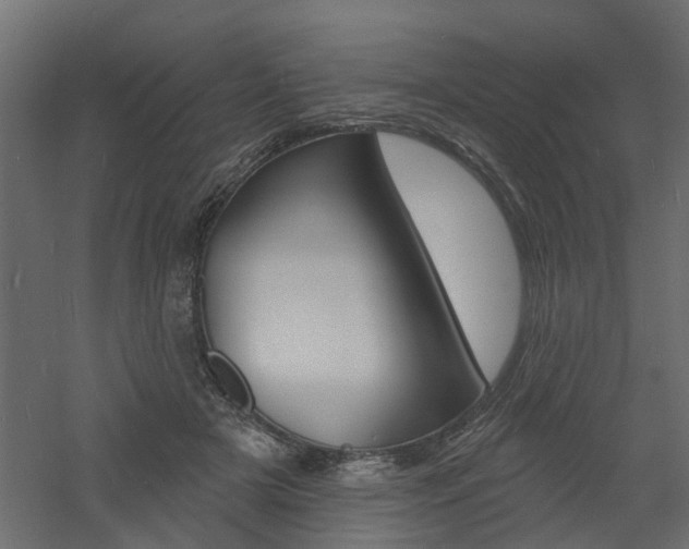X0000060740505200511100915