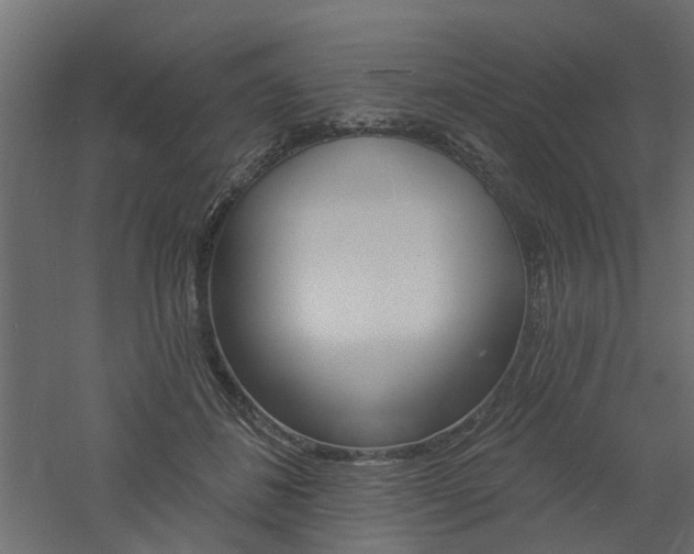 X0000060740508200511100915