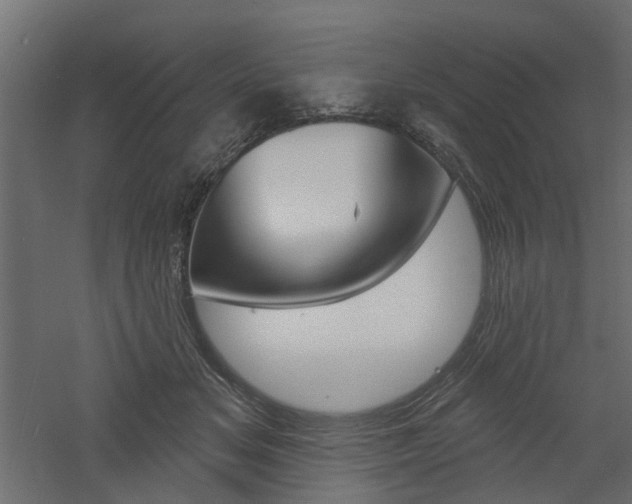 X0000060740509200511100915