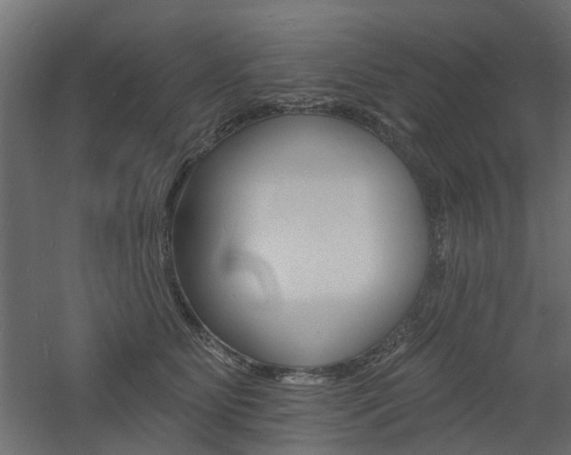 X0000060740515200511100915