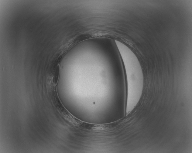 X0000060740521200511100915
