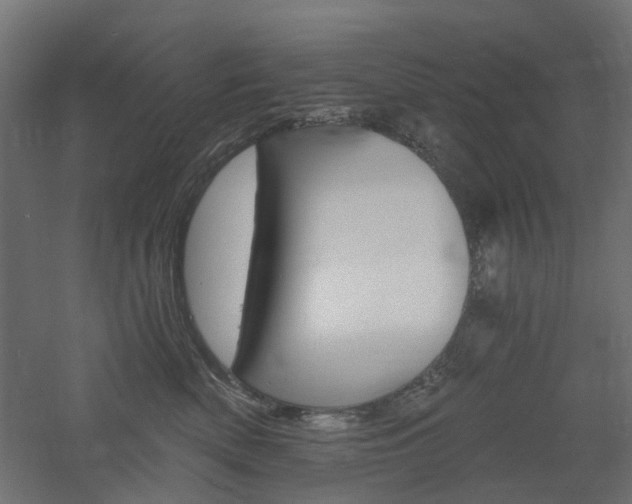 X0000060740522200511100915