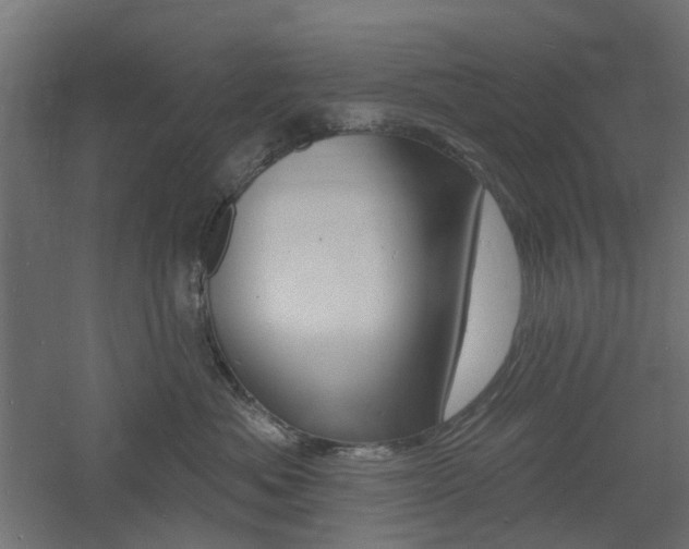 X0000060740525200511100915