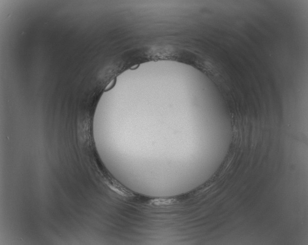 X0000060740526200511100915