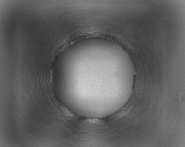 X0000060740528200511100915