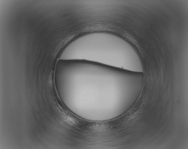 X0000060740537200511100914