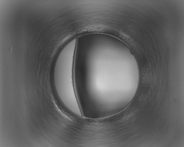 X0000060740538200511100914