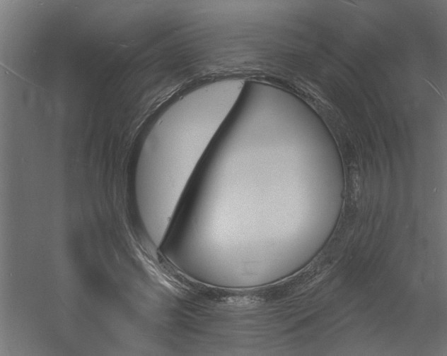 X0000060740541200511100914