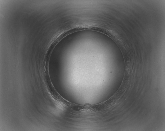 X0000060740544200511100914