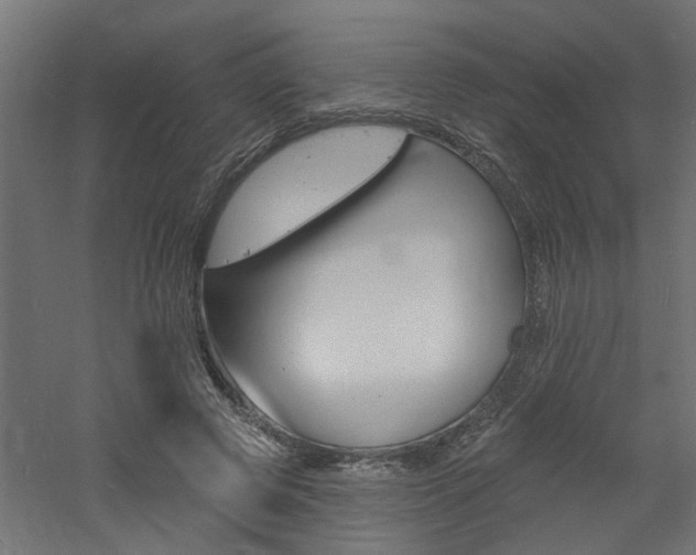 X0000060740545200511100914