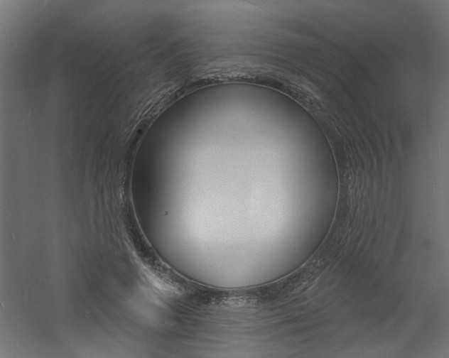 X0000060740546200511100914