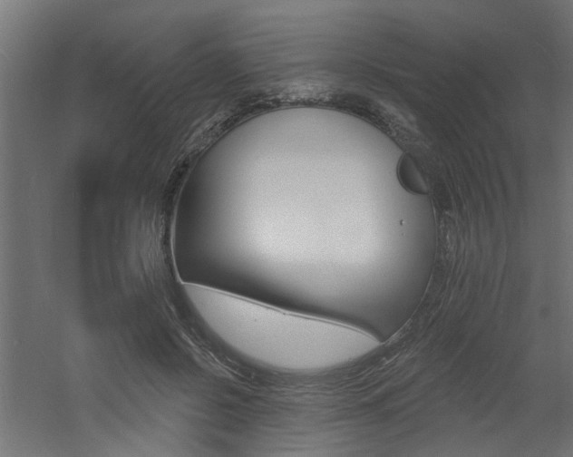 X0000060740550200511100914