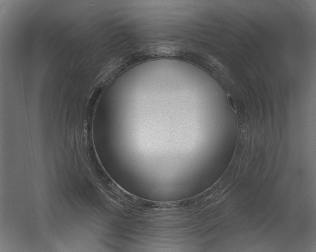 X0000060740552200511100914