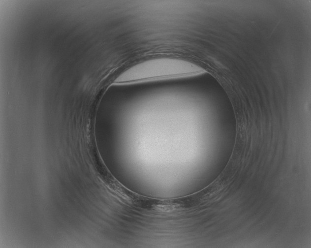 X0000060740556200511100914