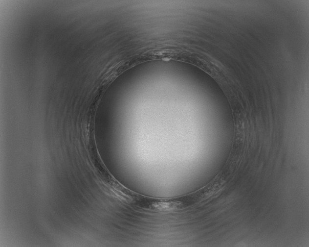X0000060740558200511100914