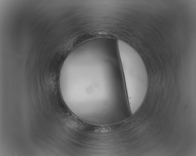 X0000060740559200511100914