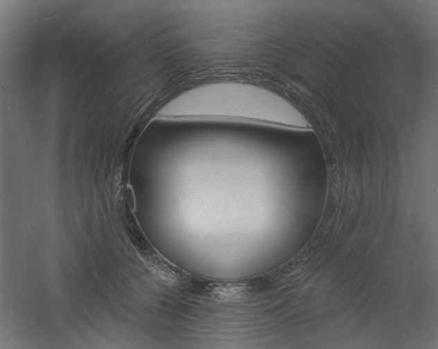 X0000060740560200511100914