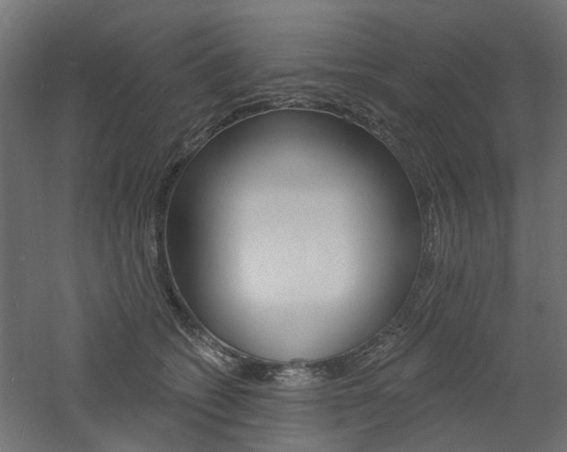 X0000060740562200511100915