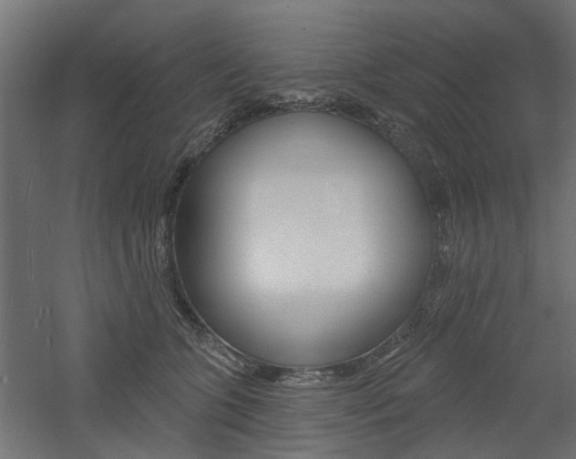 X0000060740563200511100915