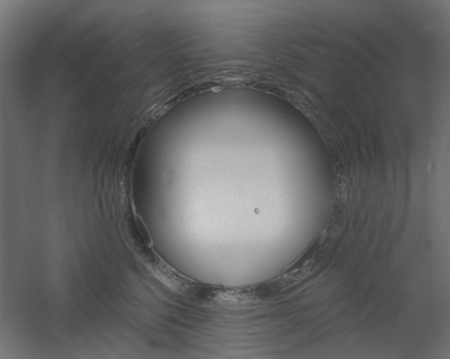 X0000060740568200511100915