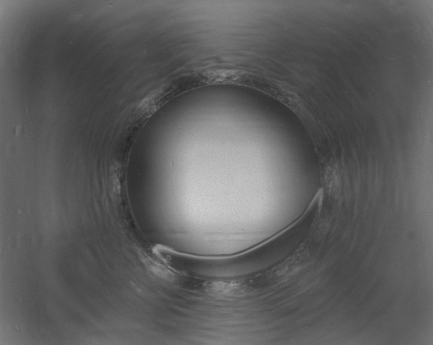 X0000060740570200511100915