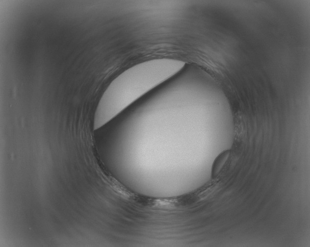 X0000060740573200511100915