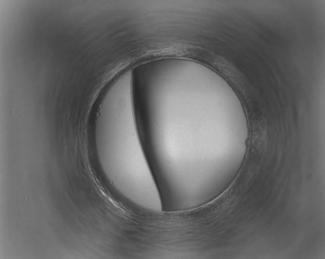 X0000060740578200511100914