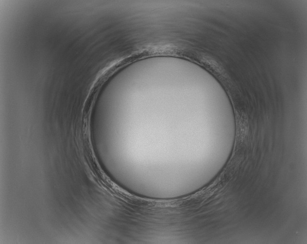 X0000060740583200511100914