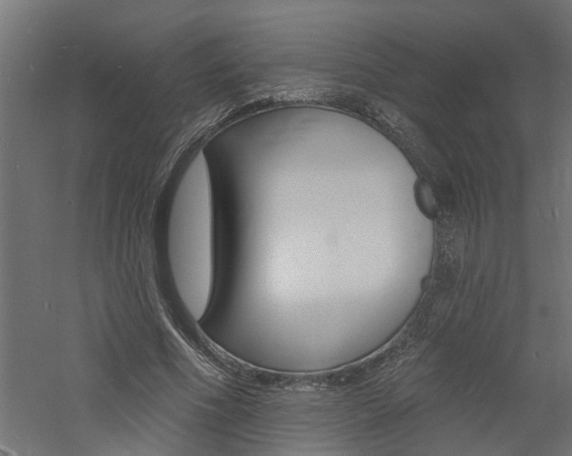 X0000060740586200511100914