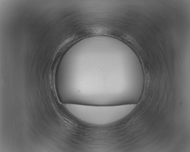 X0000060740587200511100914