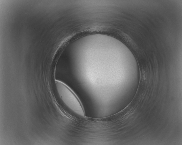 X0000060740588200511100914