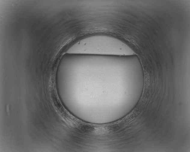 X0000060740591200511100914