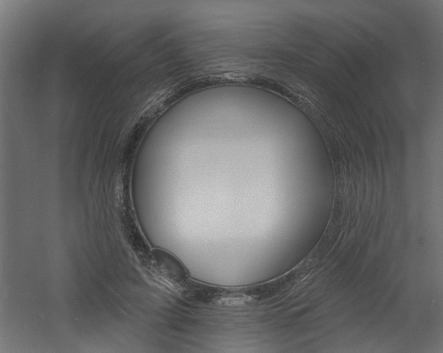 X0000060740595200511100914