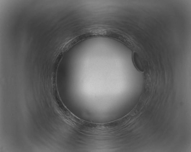X0000060740600200511100914