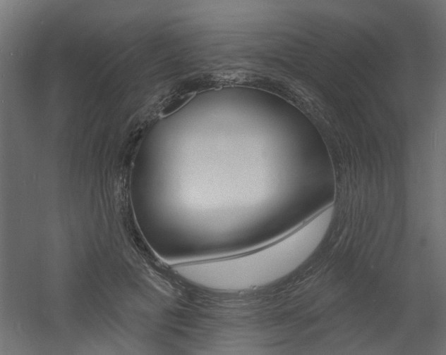X0000060740601200511100914