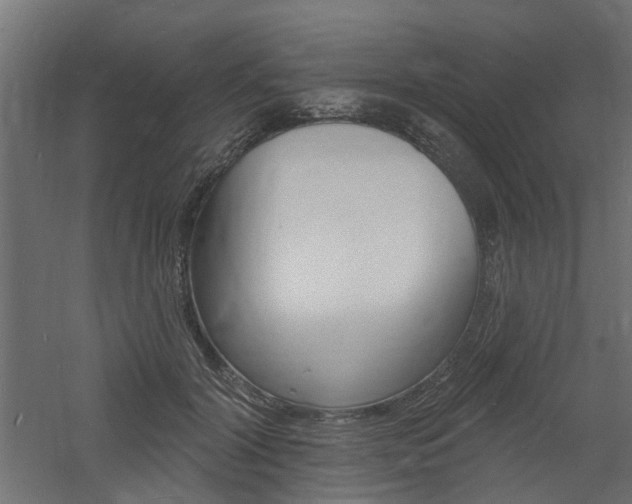 X0000060740604200511100913