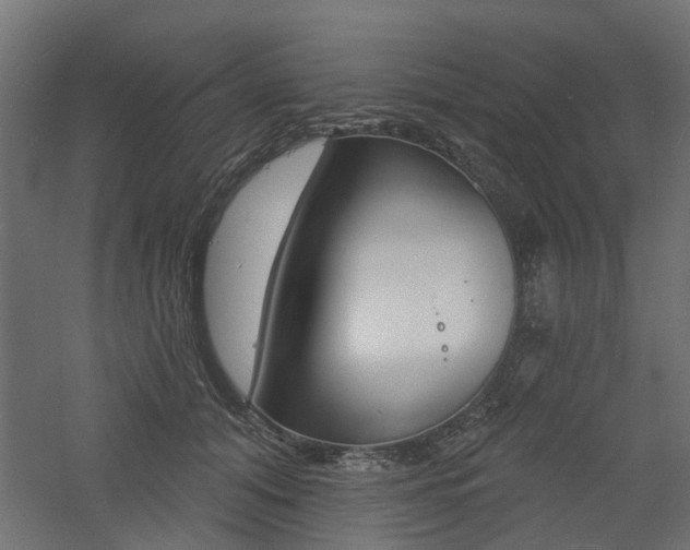 X0000060740608200511100913